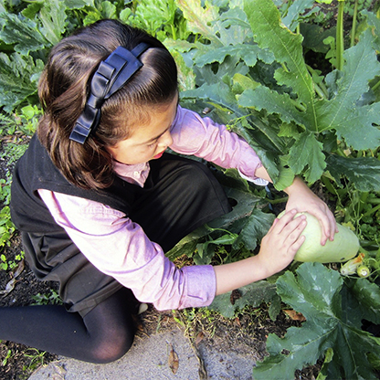 girl picking marrow