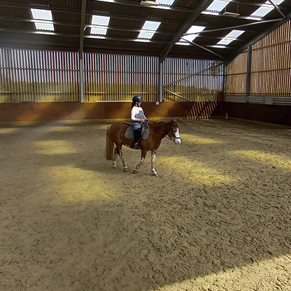 learning-how-to-ride-a-pony