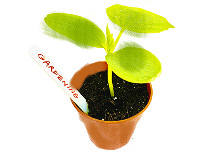 gardening-graphic